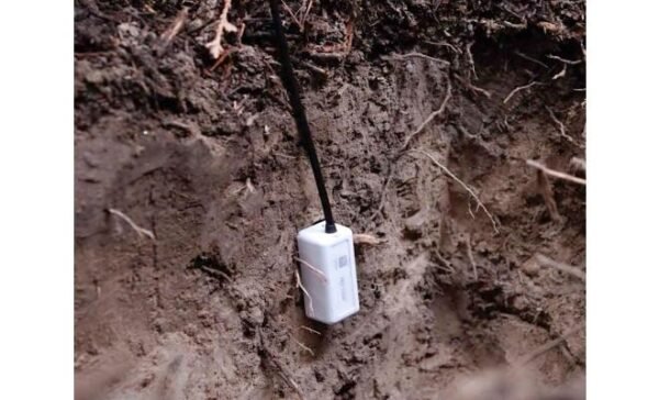 HOBO MX Soil Moisture and Temperature Data Logger - Image 2