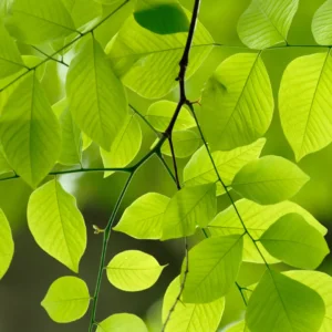 Environmental Research & Protection