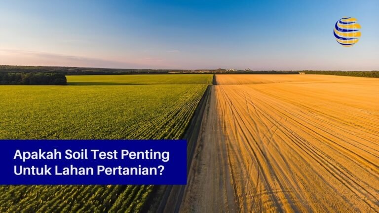 Apakah Soil Test Penting untuk Lahan Pertanian