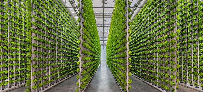 vertical farming