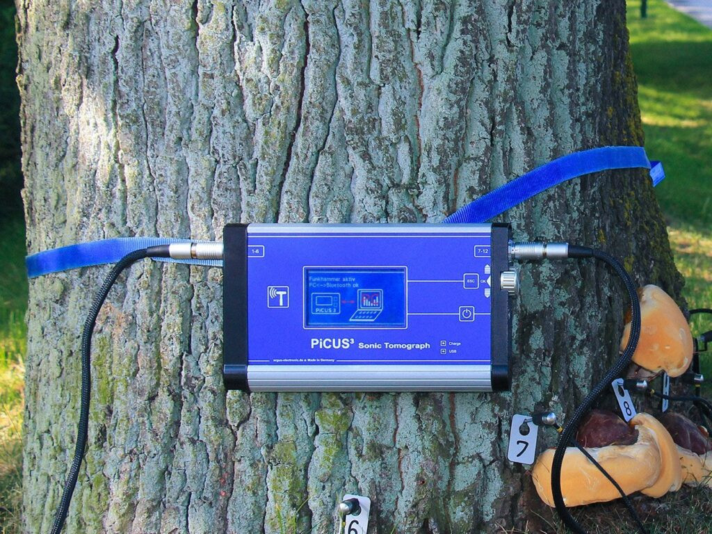 Alat Uji Pohon PiCUS Sonic Tomograph