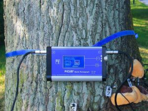 Alat Uji Pohon PiCUS Sonic Tomograph