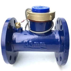 CDN-10B Turbine Water Flowmeters